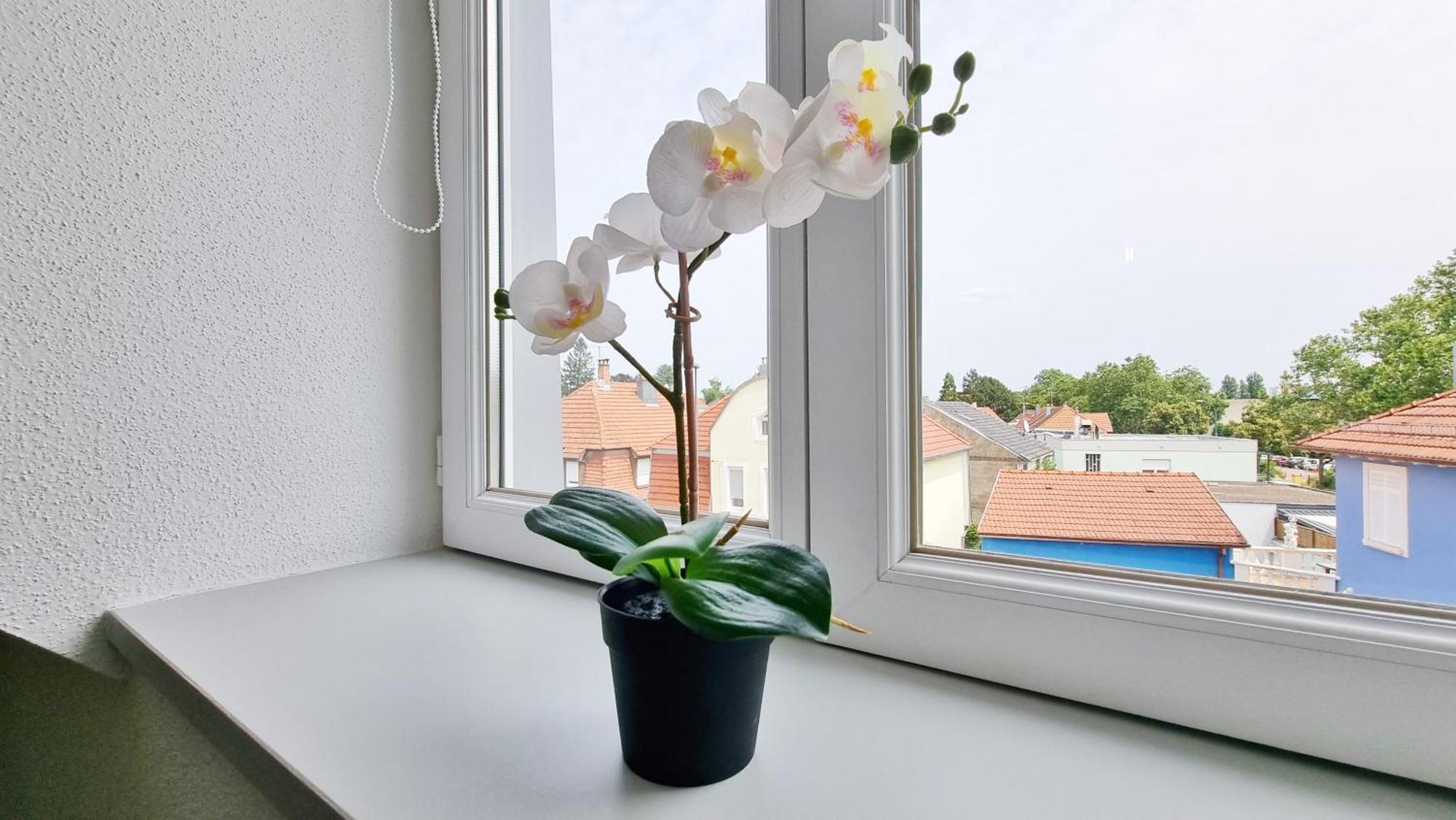 Le Triplex - 5 Chambres - 10 Pers- Fibre - Relax Bnb Mülhausen Exterior foto